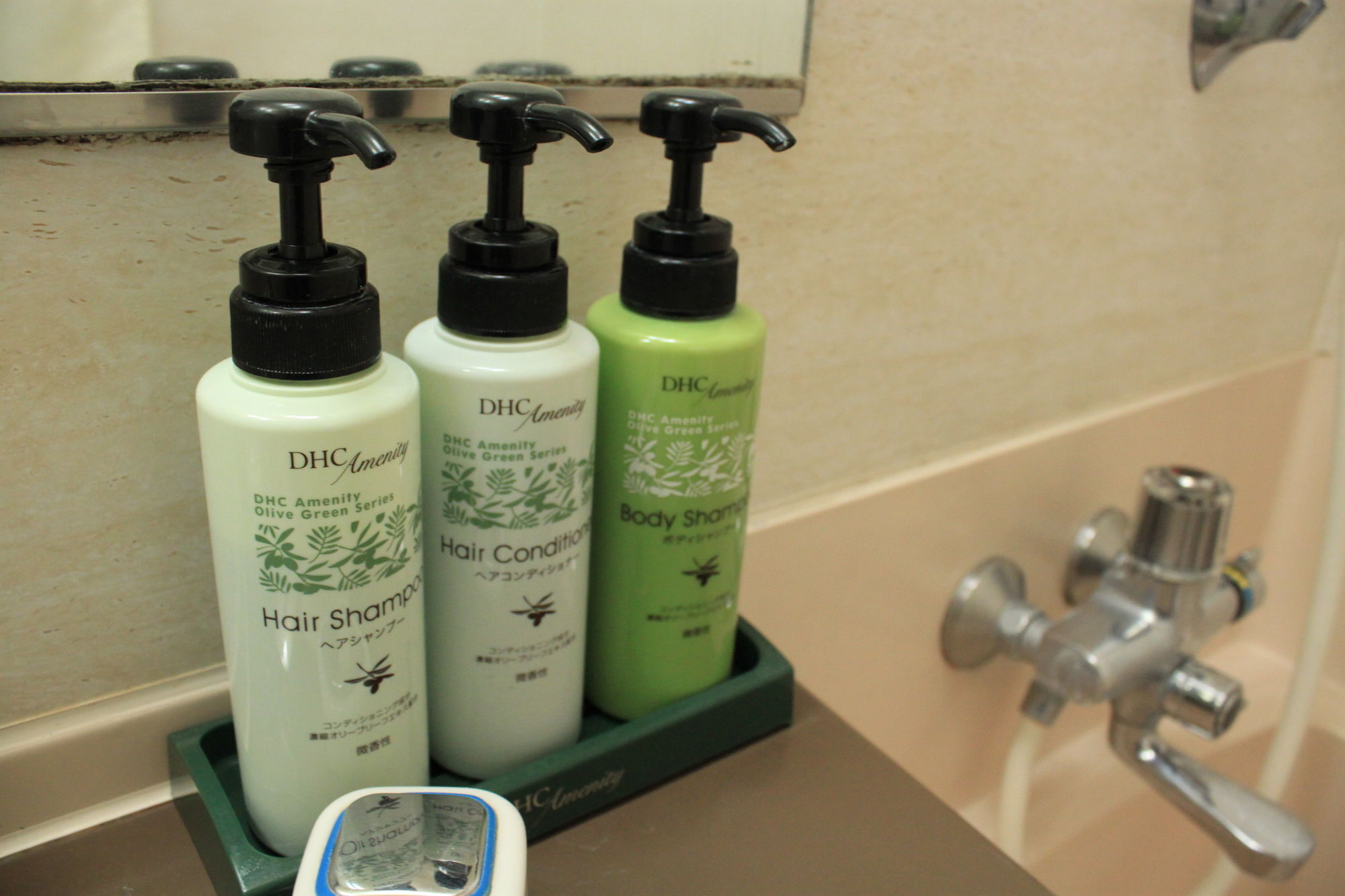 Welco Hotel Narita